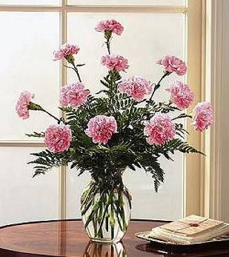 Pink Carnations