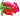 small rose