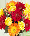 Best Wishes Rose and Daisy Bouquet FedEx