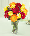 Best Wishes Rose and Daisy Vased FedEx