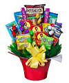 Guilt Free - WebGift