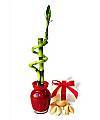 LUCKY IN LOVE BAMBOO - WebGift