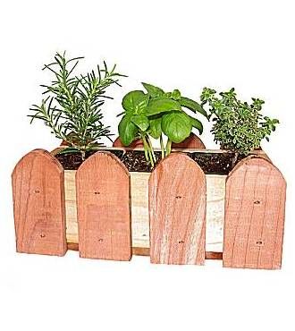 REDWOOD HERB PLANTER - WebGift