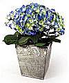 HYDRANGEA IN TIN - WebGift