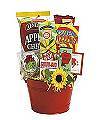 GET WELL WISHES - WebGift