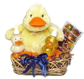 New Baby Boy Hugs Basket - WebGift
