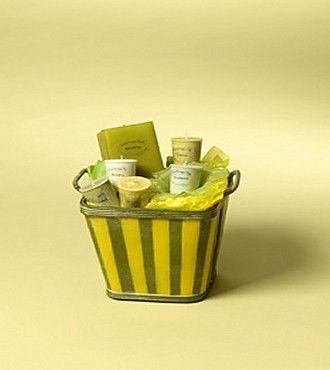 Scents to Soothe and Inspire - WebGift