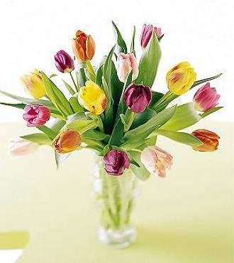 FTD Carnival Bouquet