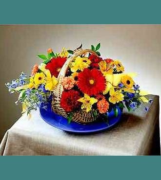 FTD Crescendo of Color Bouquet