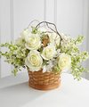 Image of Premium version for FTD Peaceful Garden Basket