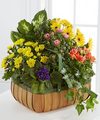 Image of Premium version for Gentle Blossoms Basket
