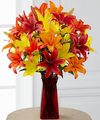 Image of Premium version for FTD Happy Thoughts Bouquet