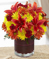 Image of Standard version for FTD Natural Elegance Bouquet