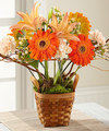 Image of Deluxe version for FTD Bright Day Arrangement