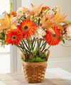 Image of Premium version for FTD Bright Day Arrangement