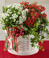 Image of Deluxe version for FTD Celebrate the Season Dishgarden