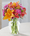 Image of Standard version for FTD Light of My Life Bouquet