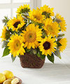 Image of Deluxe version for FTD Perfect Sun Bouquet