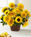 Image of Premium version for FTD Perfect Sun Bouquet