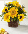 Image of Standard version for FTD Perfect Sun Bouquet