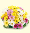Image of Deluxe version for FTD Bright Spark Bouquet