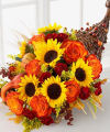 Image of Premium version for FTD Cornucopia