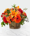 Image of Deluxe version for Harvest Memories Basket