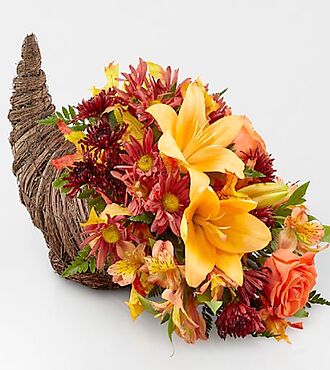 Harvest Comfort Cornucopia