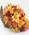 Image of Premium version for Harvest Comfort Cornucopia