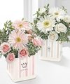 Image of Standard version for FTD Baby Prince Bouquet