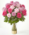 Image of Deluxe version for Pure Beauty Mixed Roses