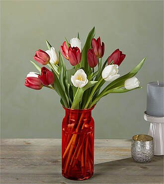 Candy Cane Tulips with Red Vase - FedEx