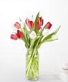 Image of Standard version for Candy Cane Tulips - 15 Tulips with Vase - FedEx