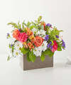 Image of Premium version for Oopsie Daisy Box Bouquet