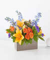 Image of Deluxe version for Radiant Citrus Box Bouquet
