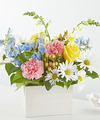 Image of Deluxe version for Sun Salutation Box Bouquet