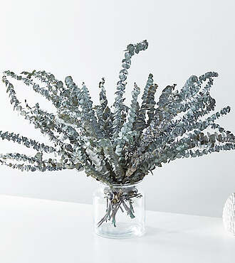 Eucalyptus Dried Bouquet - FedEx