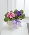 Go to Mothers Day Flowers page