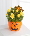 Go to Fall & Thanksgiving Flowers page