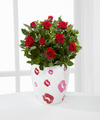 
The perfect way to sweep your sweetie off their feet this February 14th! A gorgeous mini rose plant bursts with bright red blooms while seated in a white designer ceramic container with a red rim and...
			