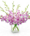 Go to Grower Direct Flowers page