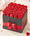Image of Standard version for Luxury Red Forever Roses - 25 Red Roses - FedEx