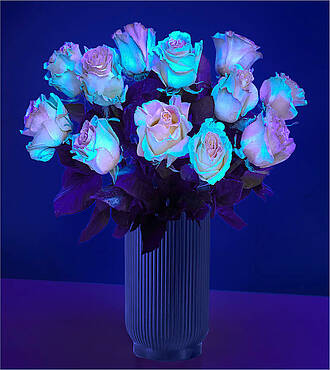 Get Your Glow On Rose Bouquet - 12 Roses with Black Fluted Vase - FedEx - F-F57VBF