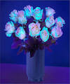 Image of Standard version for Get Your Glow On Rose Bouquet - 12 Roses with Black Fluted Vase - FedEx