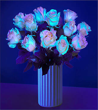 Get Your Glow On Rose Bouquet - 12 Roses with White Fluted Vase - FedEx - F-F57WF