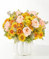 Image of Premium version for Peachy Pumpkin