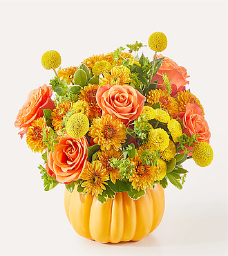 Gourdgeous Pumpkin - F13