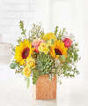 Image of Standard version for Sunflower Season Bouquet