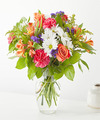 Image of Premium version for Oopsie Daisy Bouquet