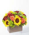 Image of Deluxe version for Happy Harvest Garden